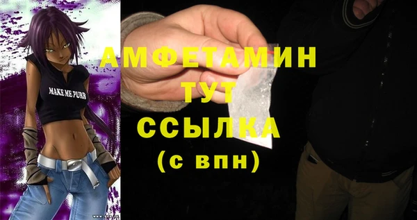 винт Лагань