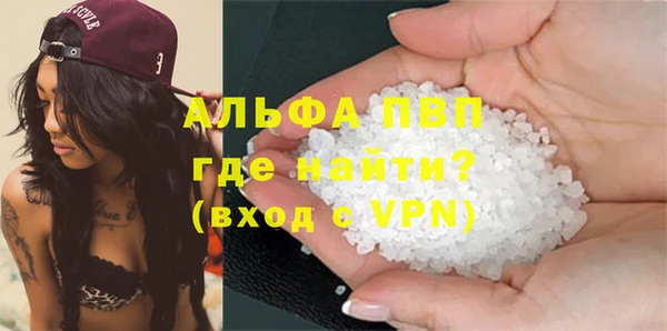 винт Лагань
