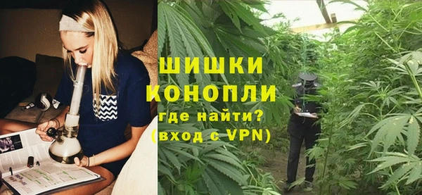 винт Лагань