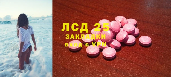 винт Лагань