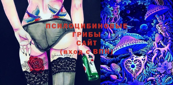 первитин Лабытнанги