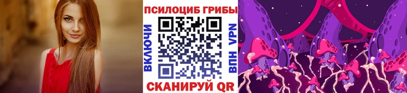 Купить где  Карачаевск  Галлюциногенные грибы Cubensis 